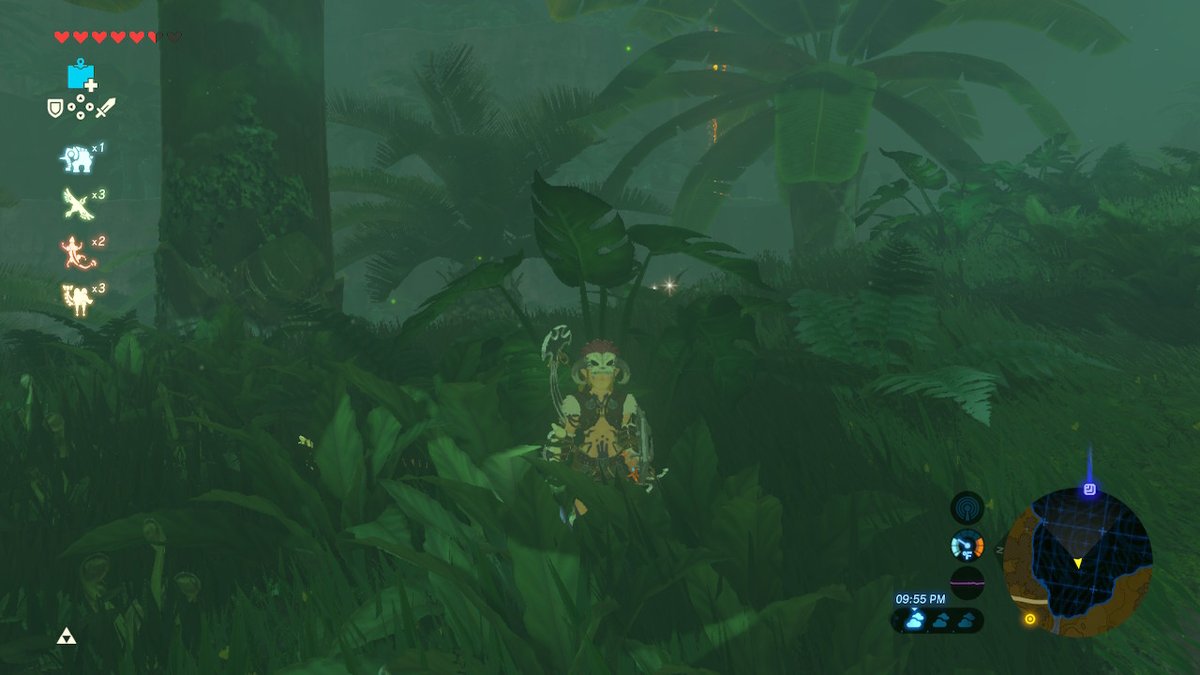 mikity_p's tweet photo. #BreathoftheWild #NintendoSwitch https://t.co/V5pdhNvcHb