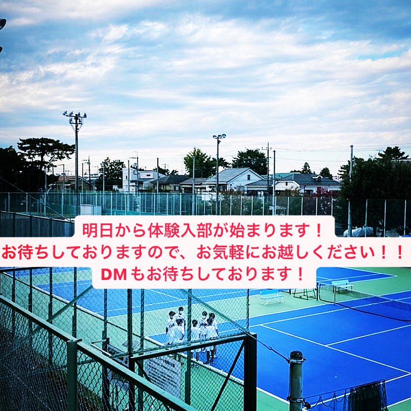 bunkyo_dankote's tweet photo. いよいよ明日から体験入部です！
ラケットもお貸ししますので是非来てください！ https://t.co/dOXtO5lb4G