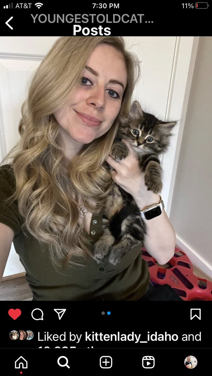 Purrpatrol's tweet photo. People say you don’t form real bonds with internet “friends” but so many of the people I follow on Instagram are really sad over the passing of Ashley Morrison @ YoungestOldCatLady. She had a heart of gold and an amazing work ethic, plus a great sense of humor. 💔 https://t.co/HrN1OXMB6D