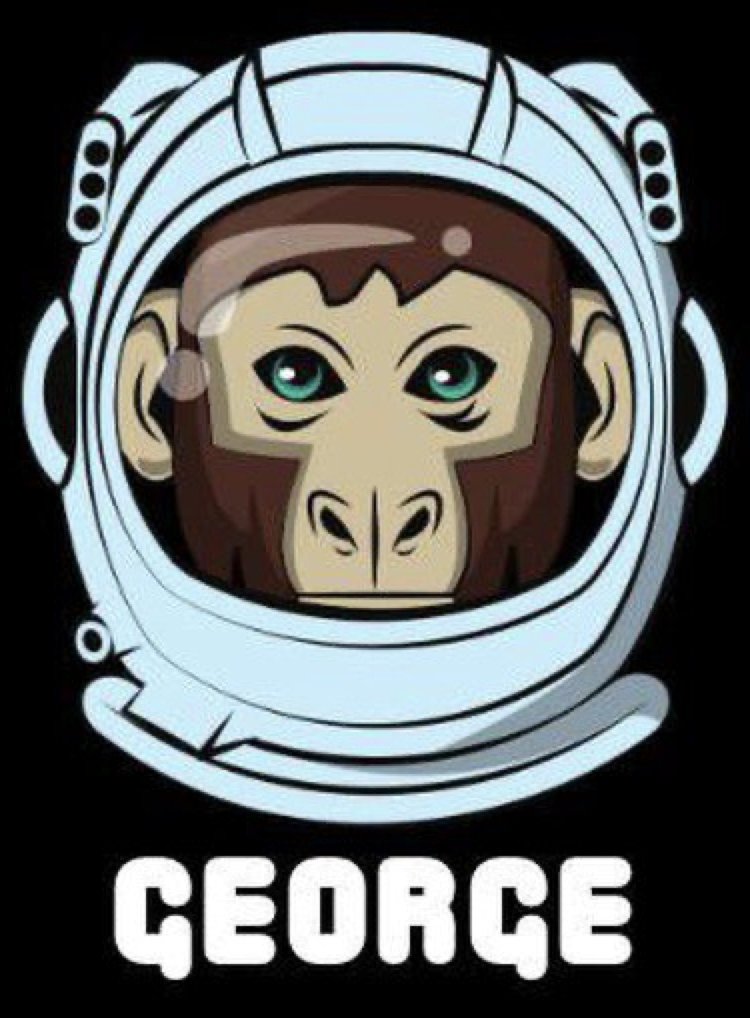 HeftySirplus's tweet photo. @WhaleCoinTalk @WhaleCoinTalk Did you know $George is a monkey that is owned by @elonmusk and has a higher IQ than president Biden 

https://t.co/j3ZKKqWDVT https://t.co/y4tS38EgtW
