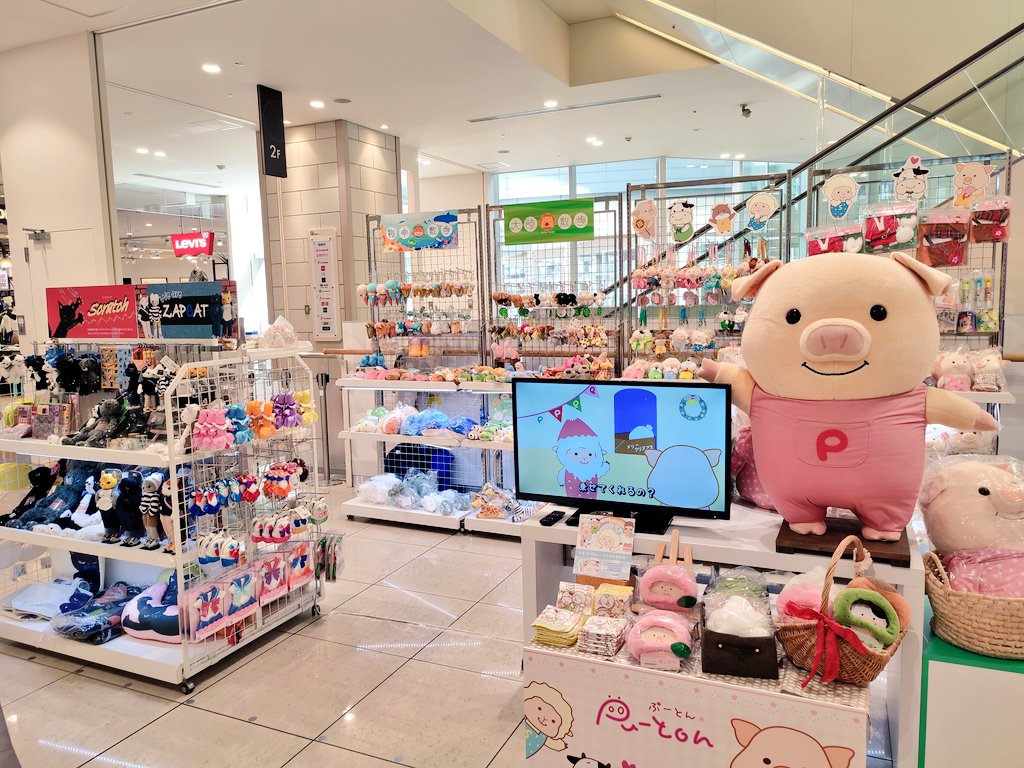 nipopoポップアップショップ情報（公式） (@nipopo_popup