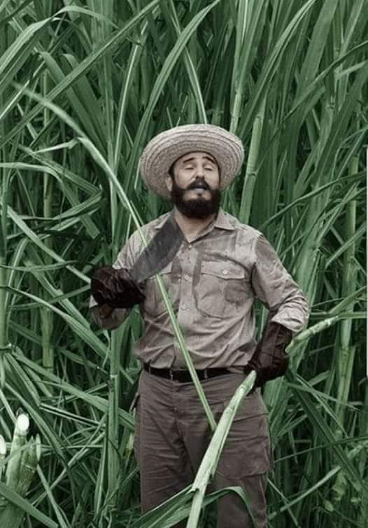 "Conciencia es actitud de lucha, dignidad, principios y moral revolucionaria."
                            #FidelPorSiempre
<a href="/DiazCanelB/">Miguel Díaz-Canel Bermúdez</a>