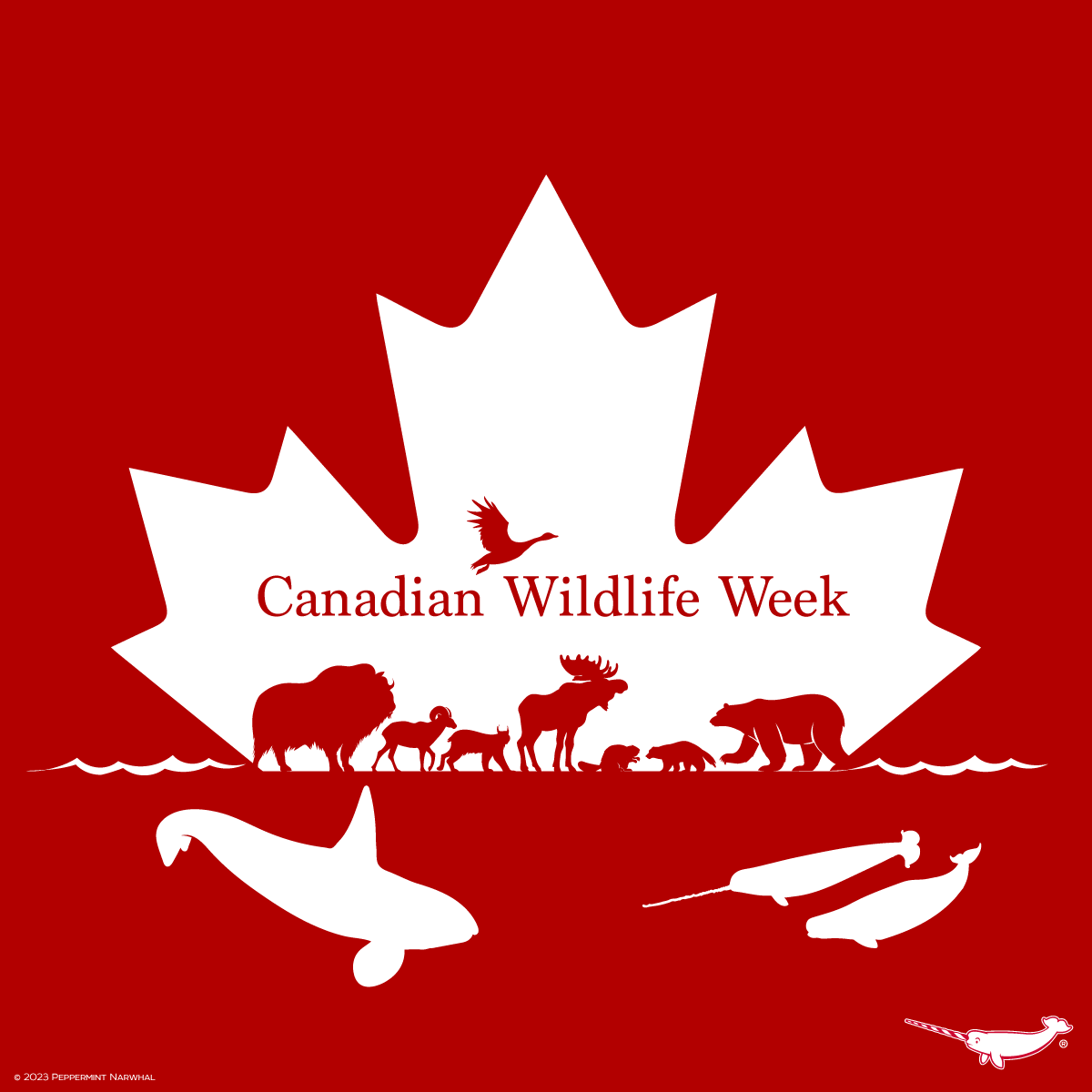 Happy #CanadianWildlifeWeek!

Shop the #PeppermintNarwhal store:
peppermintnarwhal.com

#CanadianAnimals #CanadianAnimals #CanadianWildlife #Canada #Wildlife