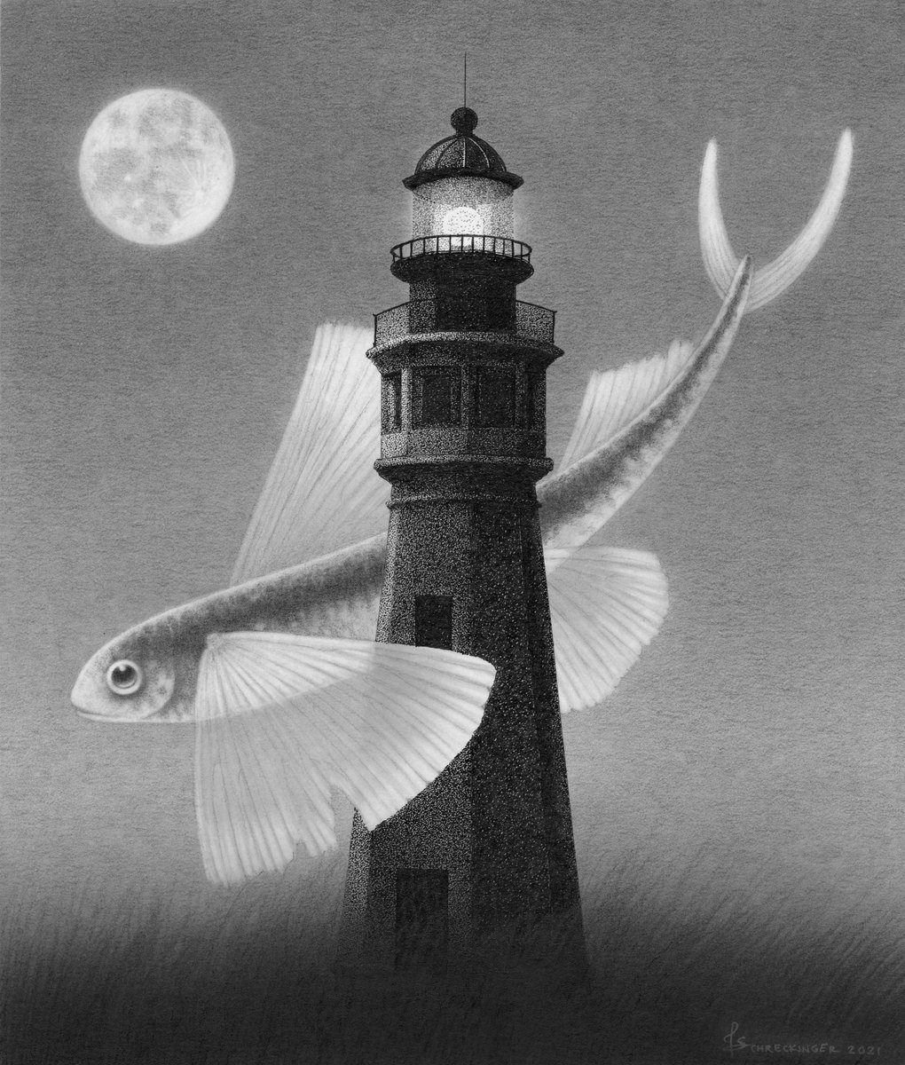 Juliet Schreckinger on Twitter "Fanny the Flying Fish https//wowxwow