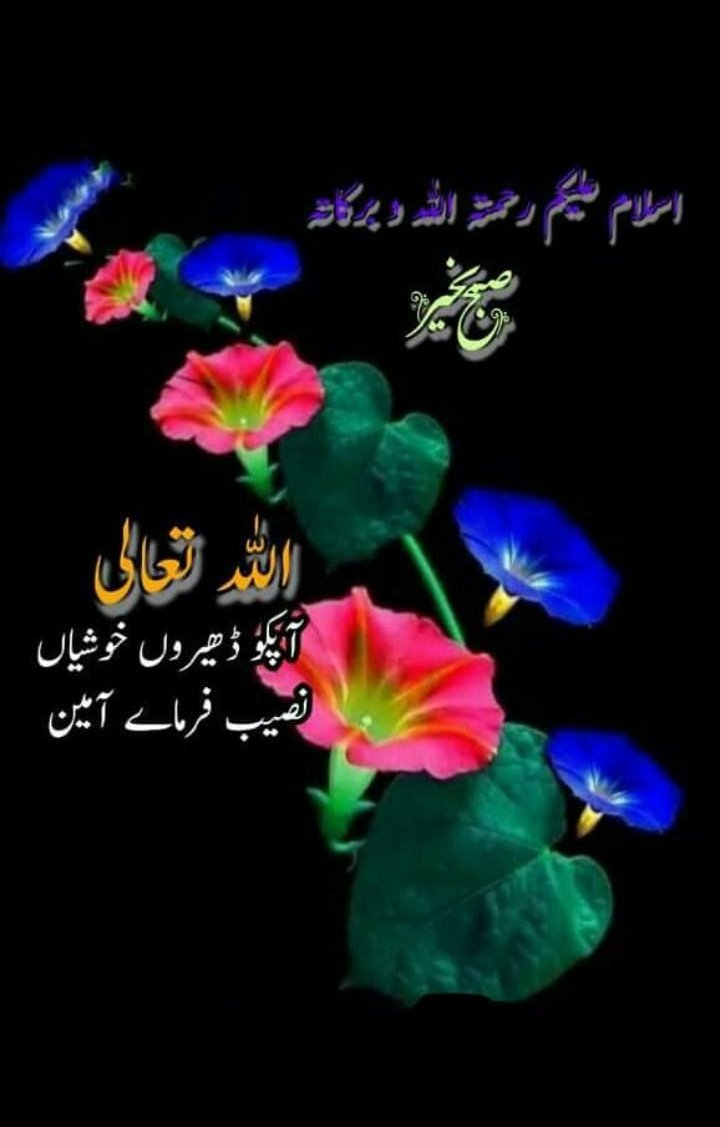 Hamdan (@zeburqan) on Twitter photo 