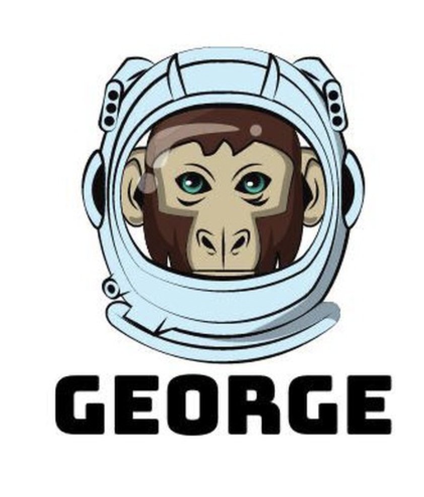 HeftySirplus's tweet photo. @elonmusk @WallStreetSilv @elonmusk Big brown chimp? Name the chimp $GEORGE 

https://t.co/j3ZKKqWDVT https://t.co/ejzlm6DWoU