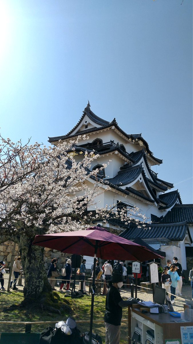 atarikiller's tweet photo. 長浜、彦根、近江八幡を巡る✨ https://t.co/ky7TToSLjN