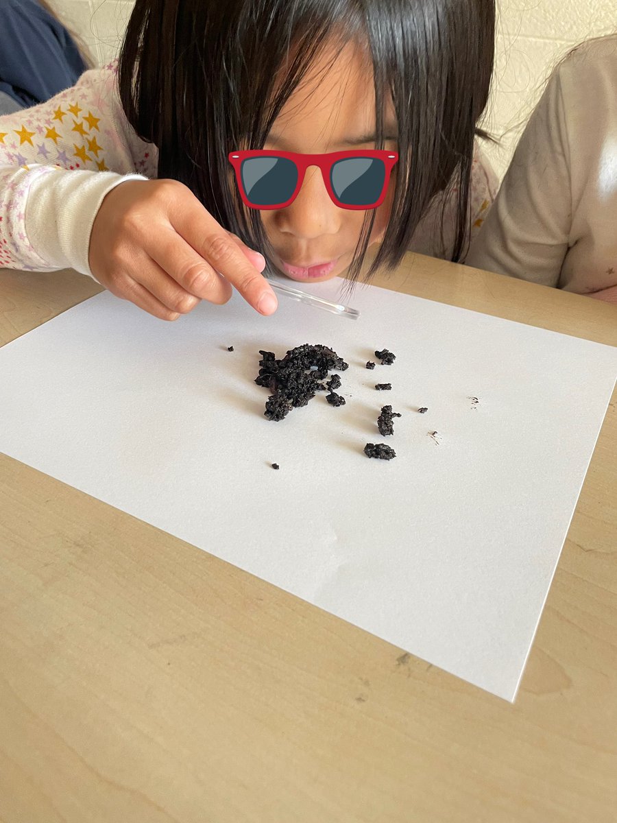 StadleyRough's tweet image. These lucky #STRsecondgrade Ss  had a guest reader that taught them all about worms 🪱 #STRreads #STRscience