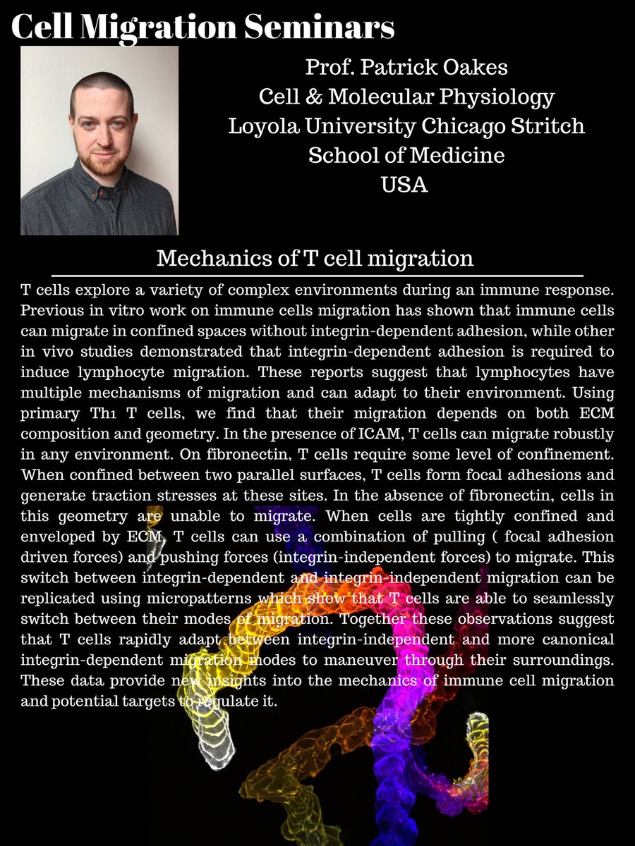 Cell Migration Seminars (@cellmigration) on Twitter photo Please join us for the final talk this spring in <a href="/CellMigration/">Cell Migration Seminars</a> seminars!
Super excited to hear from Patrick Oakes <a href="/pwoakes/">Patrick Oakes</a> about the mechanics of T-cell migration.
Please spread the word!
(Same zoom link as previous seminars this spring. Email coming soon!) Please join us for the final talk this spring in <a href="/CellMigration/">Cell Migration Seminars</a> seminars!
Super excited to hear from Patrick Oakes <a href="/pwoakes/">Patrick Oakes</a> about the mechanics of T-cell migration.
Please spread the word!
(Same zoom link as previous seminars this spring. Email coming soon!)