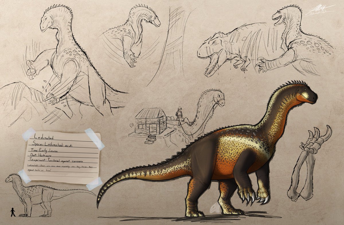 jade__317's tweet photo. If you want more Prosauropod love, Vote Ledumahadi!
https://t.co/VYXp7ApM1t #ARK #CreatureVote https://t.co/zHrJWXIiGI