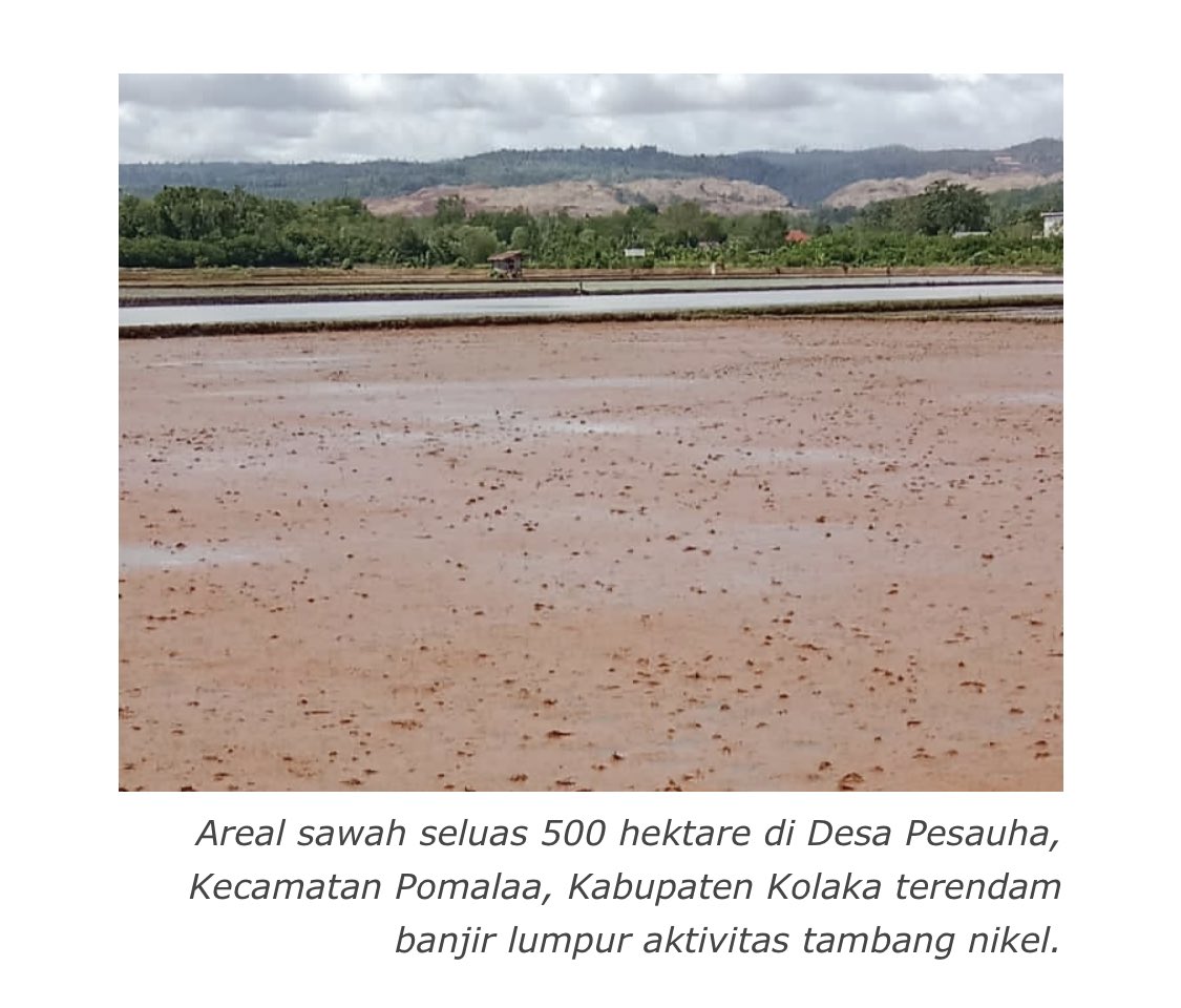 Laode M Syarif tweet media