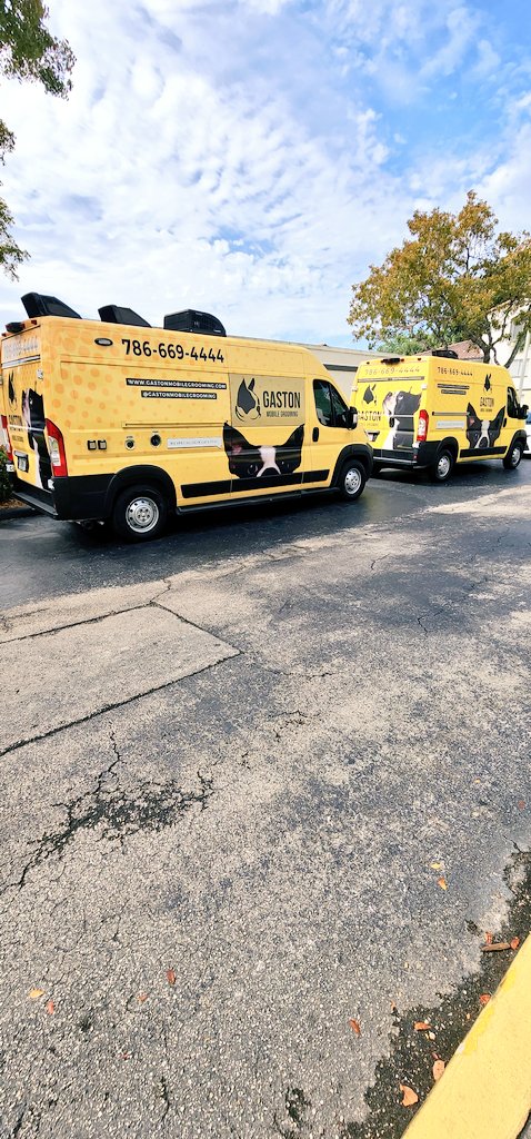 gastonGrooming's tweet photo. "Say goodbye to long trips to the groomer and hello to the Gaston Mobile grooming service! We'll come to you and pamper your furry friend in the comfort of your own home. 🚐🐶💅 #mobilegrooming #petcare #convenience"
https://t.co/iQ5At6ZCot https://t.co/PT2tBetzQ5