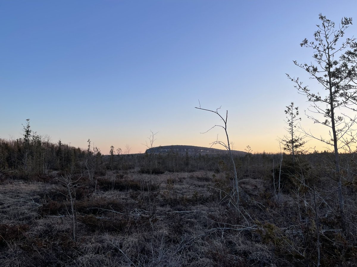 bagida_waad's tweet image. Tonight’s skies. Caught the sunset and went for our first night hike!!! #hiking #nighttime #springpeepers #calmwaters  #spring