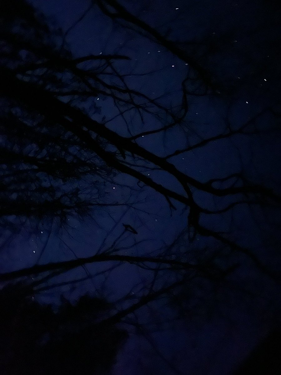 bagida_waad's tweet image. Tonight’s skies. Caught the sunset and went for our first night hike!!! #hiking #nighttime #springpeepers #calmwaters  #spring