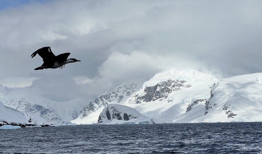 What YOU can do to help Antarctica.  

Here are *suggestions* of things YOU can do to help. Please feel free to add your own. 

Let’s start with the easy ones.

A thread. 🧵