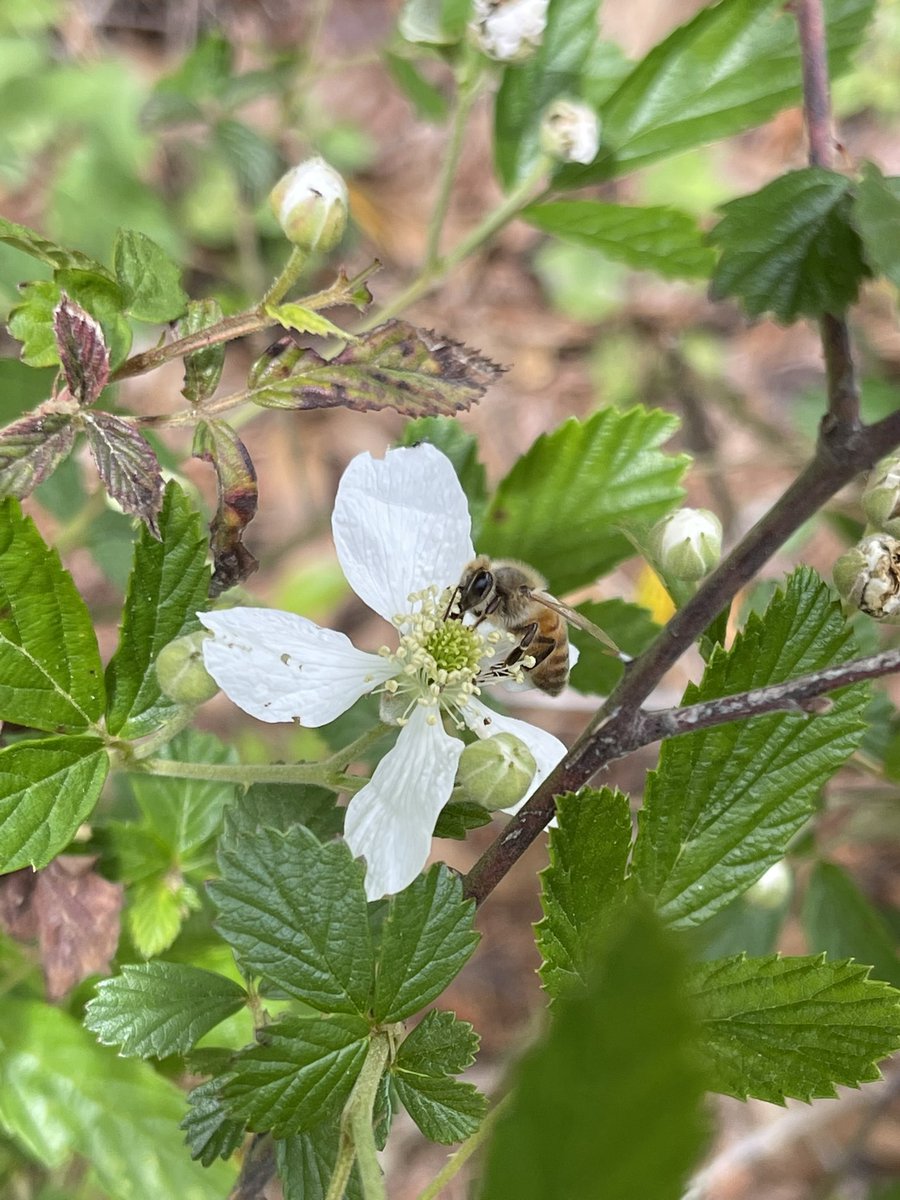 Roger Jackson tweet media