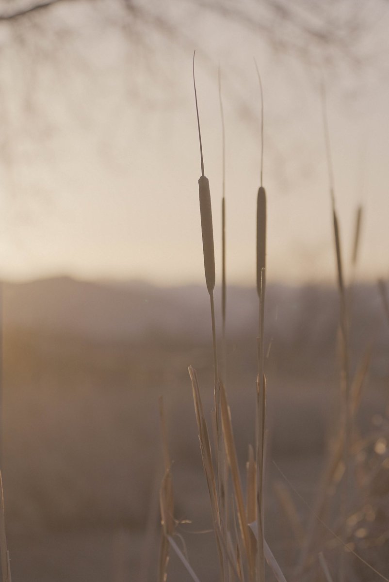 Some stills from sunset. #sonyfx3