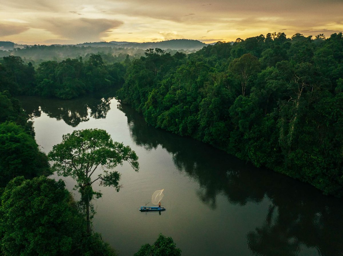 dr_suwanna's tweet photo. #CardamomsForever
The Cardamom Rainforest produces 22 major rivers that provide livelihoods to 3,345 villages for fishing and agriculture and for hydro-electrical production for the Kingdom.
#JoinTheAlliance #WildlifeAlliance #reforestation #offirestation #timeforaction https://t.co/XxRDU84ze0