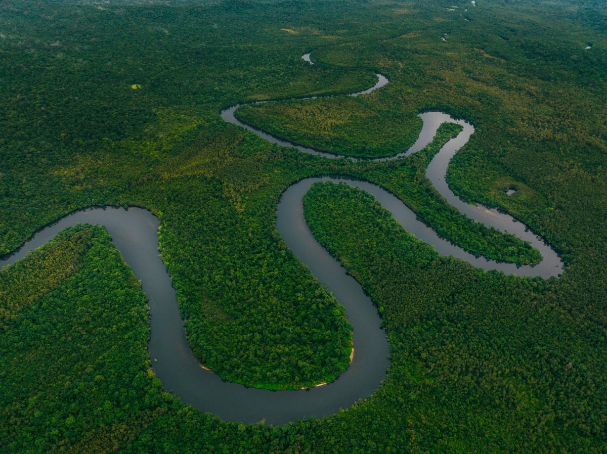 dr_suwanna's tweet photo. #CardamomsForever
The Cardamom Rainforest produces 22 major rivers that provide livelihoods to 3,345 villages for fishing and agriculture and for hydro-electrical production for the Kingdom.
#JoinTheAlliance #WildlifeAlliance #reforestation #offirestation #timeforaction https://t.co/XxRDU84ze0
