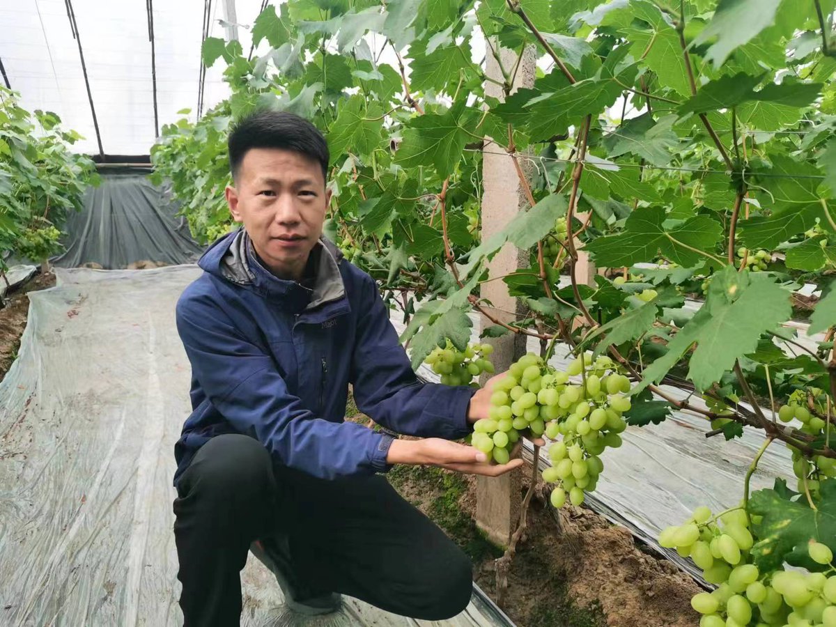 sgcropsolutions's tweet image. Did you know? Ecological farming, also known as agroecology, is a holistic approach to farming that focuses on the sustainability and resilience of agricultural ecosystems. It emphasizes the use of diverse and locally adapted crops, livestock, and natural resources.