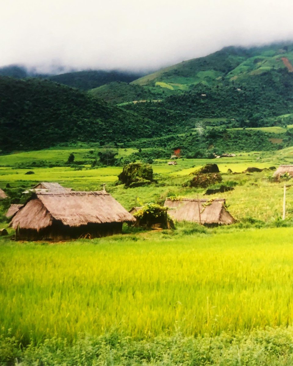 Seiji INOUE 井上セイジ｜モノを創造と想像 on Twitter 