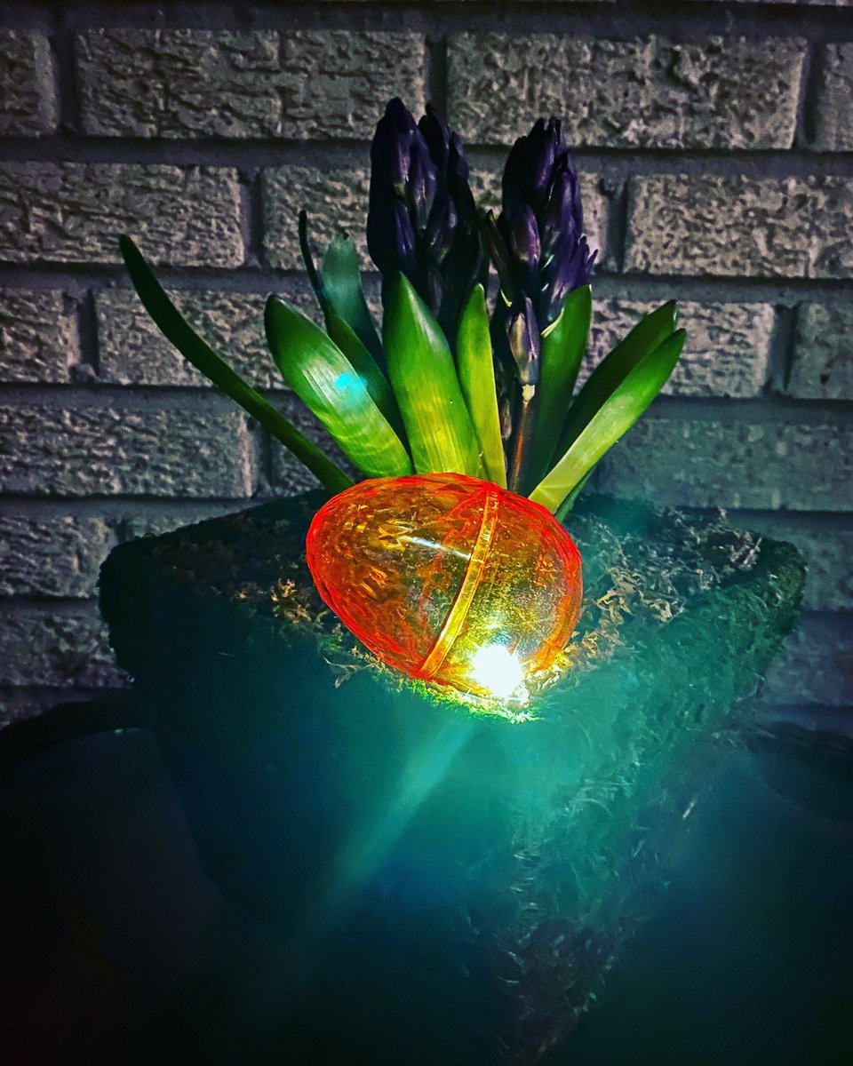 LockportHortic1's tweet photo. Happy Easter!
Outside Spring Planters #orlandpark #landscapedesign #horticulture
#spring #containergardening #tulips #daffodils #pansies #springpots #containergardendesign #easterplanter #easterplanterdesign #curlywillow https://t.co/nWBGE75RJP