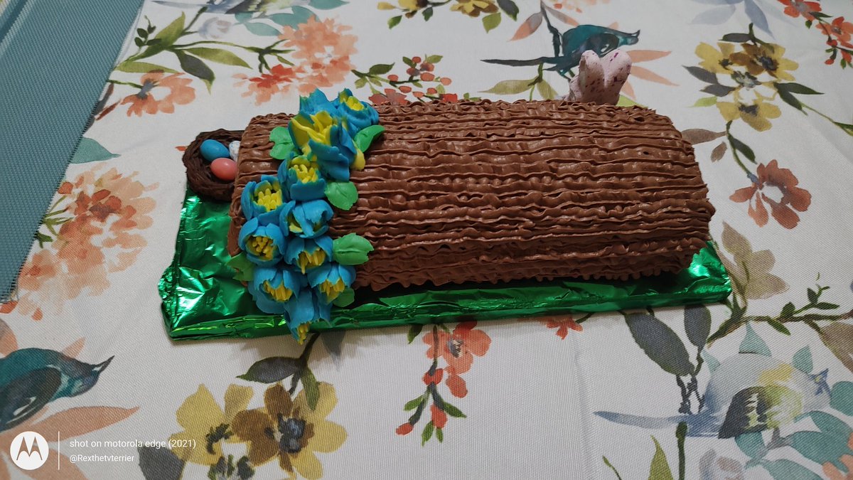 rexthetvterrier's tweet photo. Mom made her famous swiss roll cake and gave it a spring/Easter theme 😀. #Yum #HappyEaster #BestStickEver #dogsoftwitter https://t.co/qRfTr9o1n1