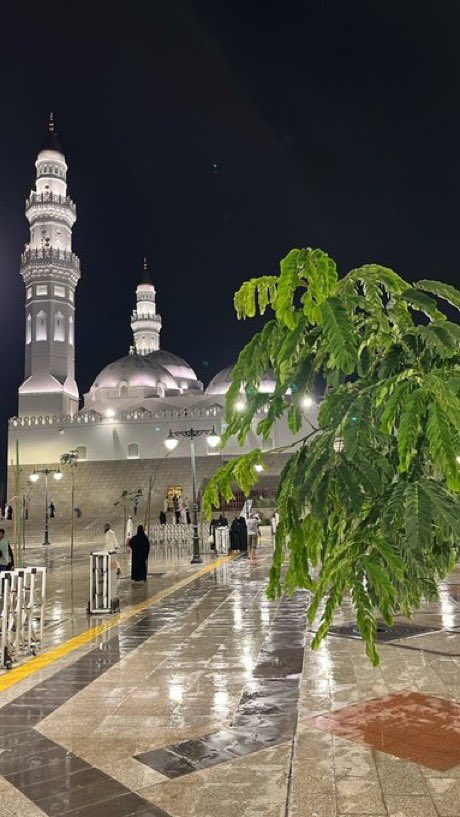 #امطار_المدينه

" لطيبة عـرِّج إنَّ بين قبـابـها
حبيب لأدواء القلوب طبيبُ

أيا ساكني أكنــاف طيـَبة كـلكـم
إلى القلب من أجل الحبيب حبيبُ"