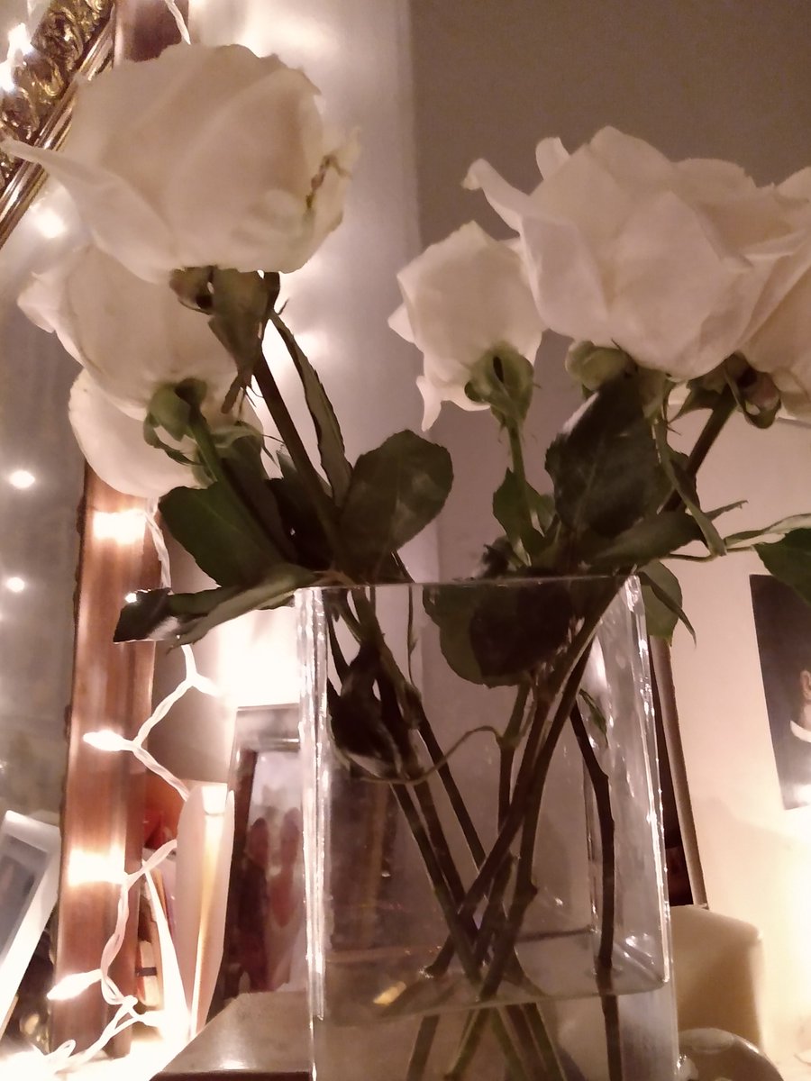 Hoping those of you who are alone, or are recently bereaved, or are estranged from those you love, have been able to breathe through this holiday. Hoping you are being gentle with yourselves and holding yourselves in light. Sometime soon you will celebrate again. With joy. 🌿