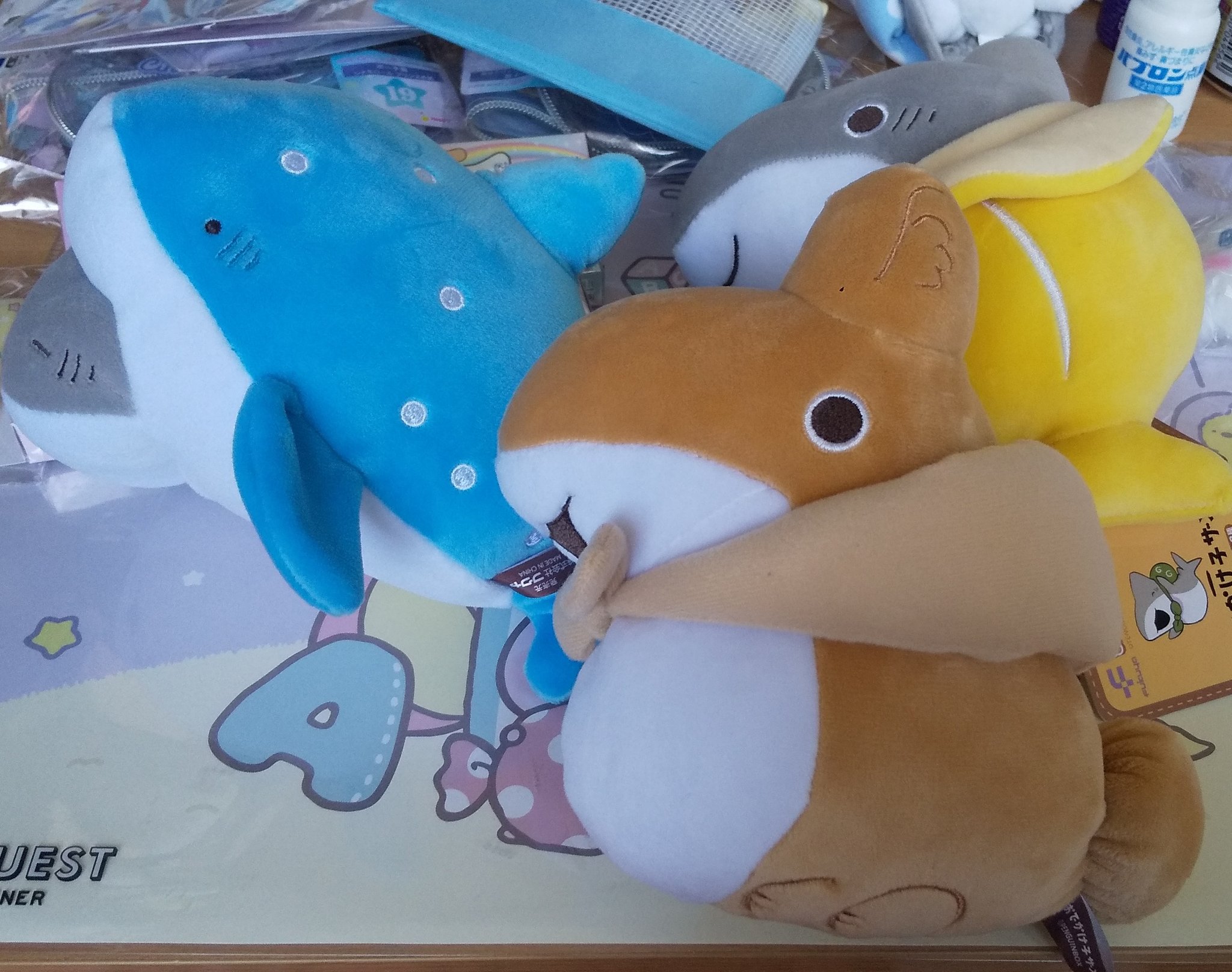 おでかけ子ザメ ましゅもっち全2種 迷わす
