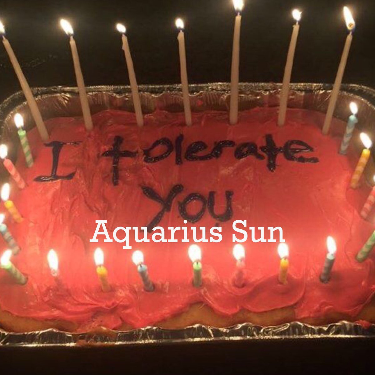 jo jurnham tweet media