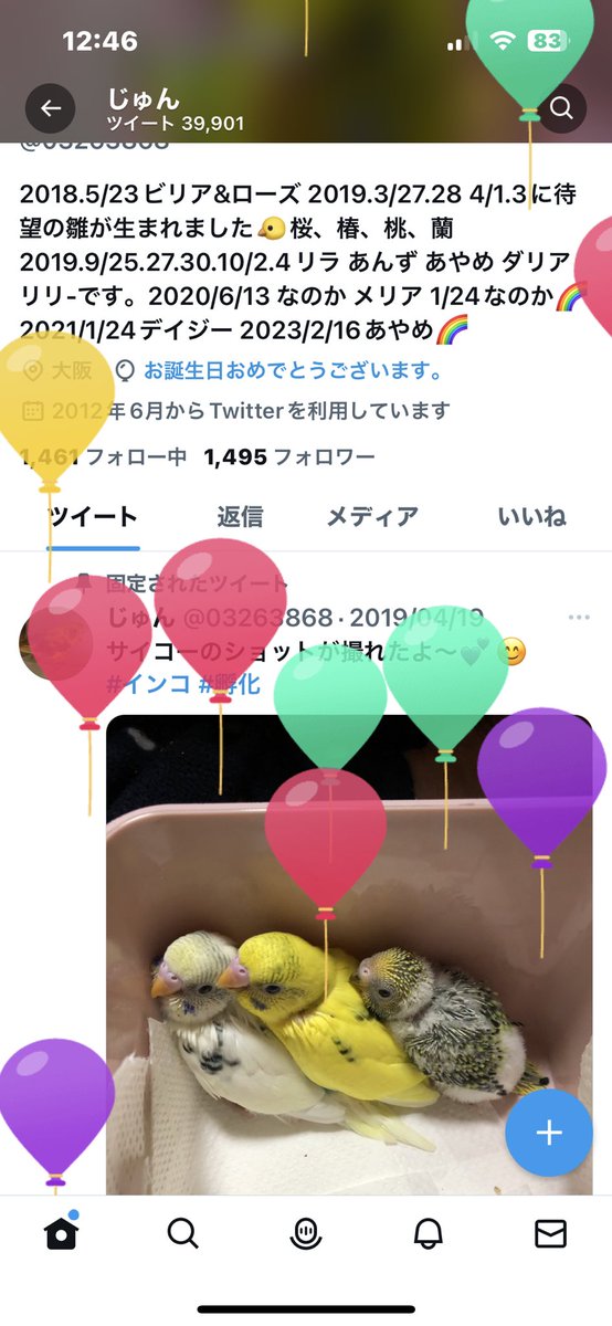 03263868's tweet photo. 本日❣️風船飛���ました〜😊
このぐらいの時間に生まれてきました✨
両親に感謝です🍀✨
#誕生日 https://t.co/IT3zzjzqed