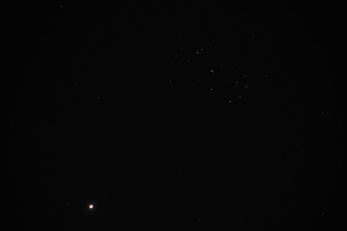 _jsh02's tweet photo. Sunday over #Vegas
#Venus & The #Pleiades
#TheSevenSisters
#Messier45
#LasVegas
#Stars
#CanonPhotography
#GoOutsideAndLookUp
@ThePhotoHour
@maryhardesty_
@SithMinuzaki https://t.co/QJSNvG1hxN