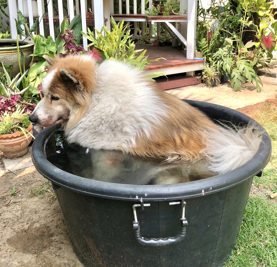 wk_saw's tweet photo. ข้าว่าเอ็งไม่ใช่บางแก้วแน่ๆ https://t.co/ny7Dwy9hWu