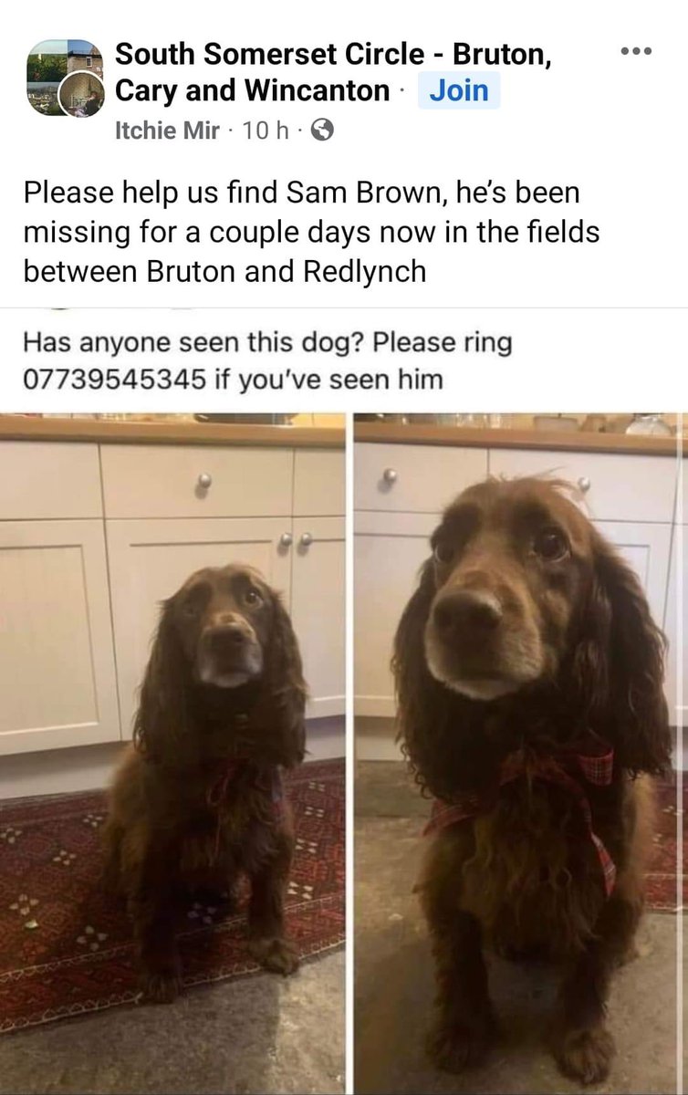 rosieDoc2's tweet photo. Pls help us find Sam Brown, heβs been #missing for a couple days now in the fields between #Bruton and #Redlynch
Pls RT TY
https://t.co/30ty7SY3nE
@BrutonArt @bruton_bazaar @BrutonDairy @BrutonHove @BrutonKeyClub @BRUTONPARISH @bs2510 @CcRedlynch @RedlynchREstate @JacquiSaid https://t.co/n34Je1Dnk4
