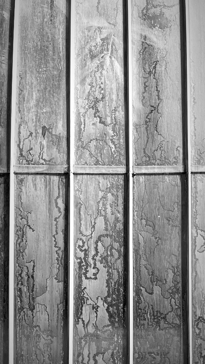 Ian McFadden tweet media