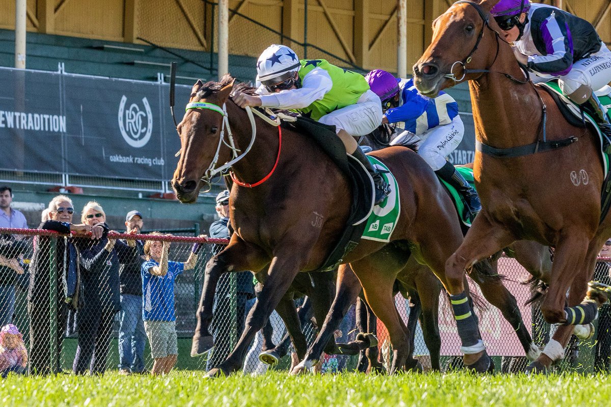 Lachy Neindorf (@lneindorf) on Twitter photo Great to notch up my 200th winner today, canโt thank all the trainers and owners enough for their ongoing support. A great mate of mine <a href="/James_Jordan/">James Jordan</a> for everything he does for me, @murph01375419 for being a great mentor, my manager Damien Wilton and great bosses! <a href="/racing_gordon/">GVR DM Racing - Comments by C Reynolds</a> Great to notch up my 200th winner today, canโt thank all the trainers and owners enough for their ongoing support. A great mate of mine <a href="/James_Jordan/">James Jordan</a> for everything he does for me, @murph01375419 for being a great mentor, my manager Damien Wilton and great bosses! <a href="/racing_gordon/">GVR DM Racing - Comments by C Reynolds</a>