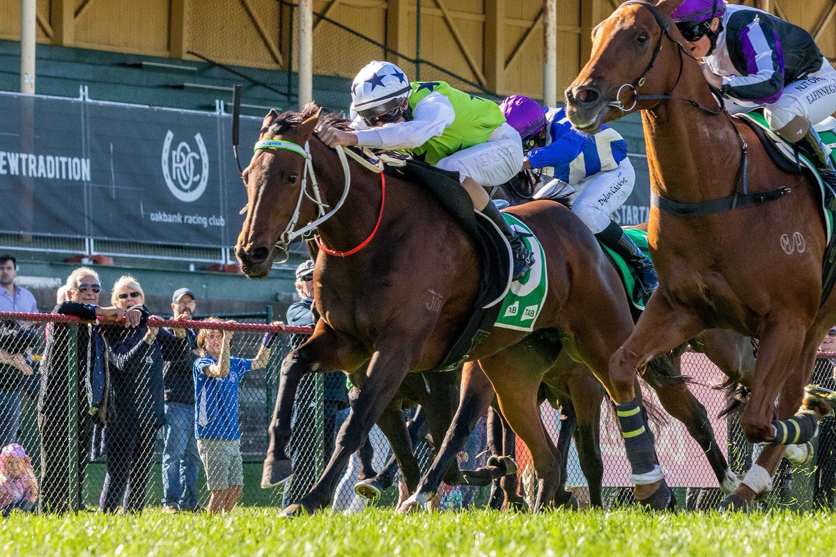 Great to notch up my 200th winner today, can’t thank all the trainers and owners enough for their ongoing support. A great mate of mine @James_Jordan for everything he does for me, @murph01375419 for being a great mentor, my manager Damien Wilton and great bosses! @racing_gordon