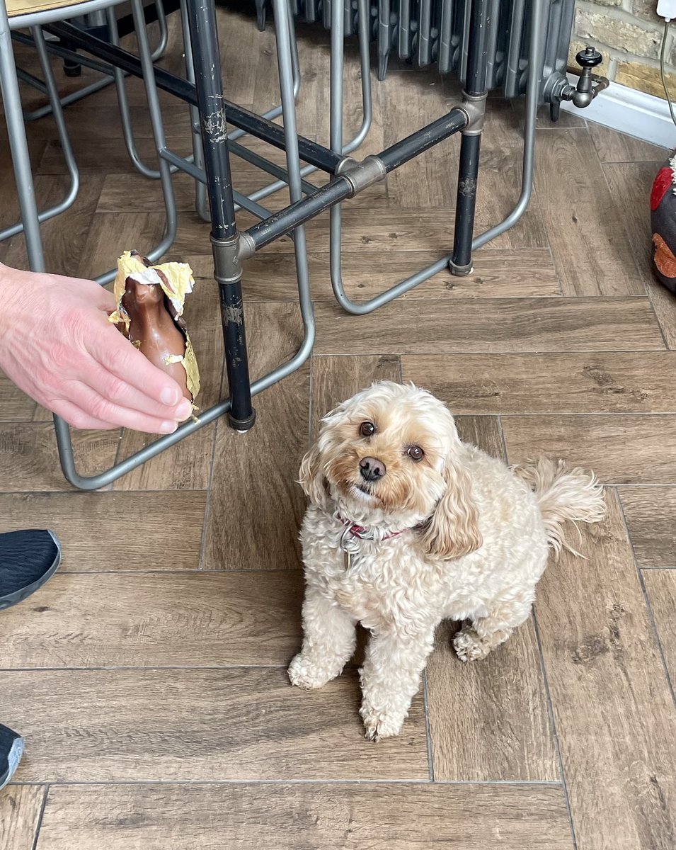 TheHoneyTails's tweet photo. I’d like to say it wasn’t me that went on an Easter egg hunt (that wasn’t meant for me) and cracked open a bunny, but I would be lying 
#RabbitRaid
#HoneyHustled https://t.co/g1VbJOMk9E