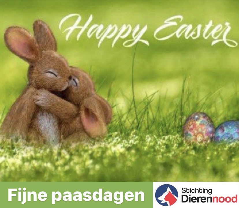 Stichting Dierennood tweet media