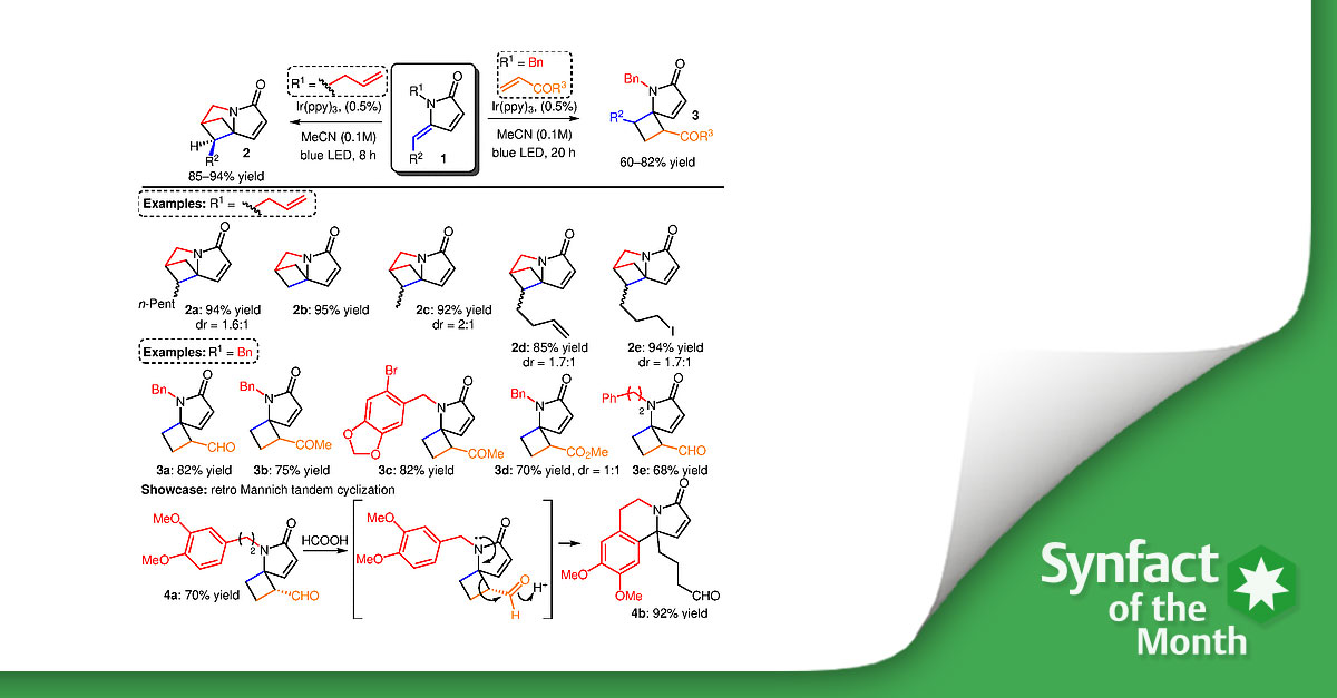 thiemechemistry's tweet photo. ❇️ In this Synfact of the month Mark A. Reed highlighted the ´[2+2] Cycloadditions to Access sp3-Rich Spirocycles` by Vassilikogiannakis G. and co-workers from University of Crete. 😀 
👉 https://t.co/bprRwYgqoc 

#spirocylces #photocatalysis #polycyclic #alkaloids https://t.co/570vQbw5Xr