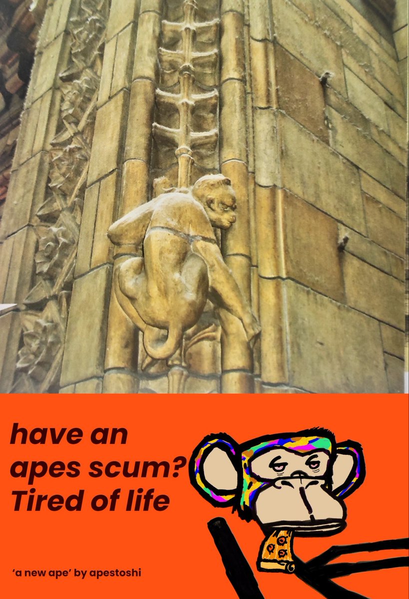 hunya128's tweet photo. Have an apes scum?Tired of life.
@apes_chain
#ApeBabyClub #Boverse #BNAN #APEKING #GOLDENKEY🔑#Bohr #Bond #Siyc #Atlantis #NFT #Web3 #Metaverse https://t.co/m29WmRtLbA