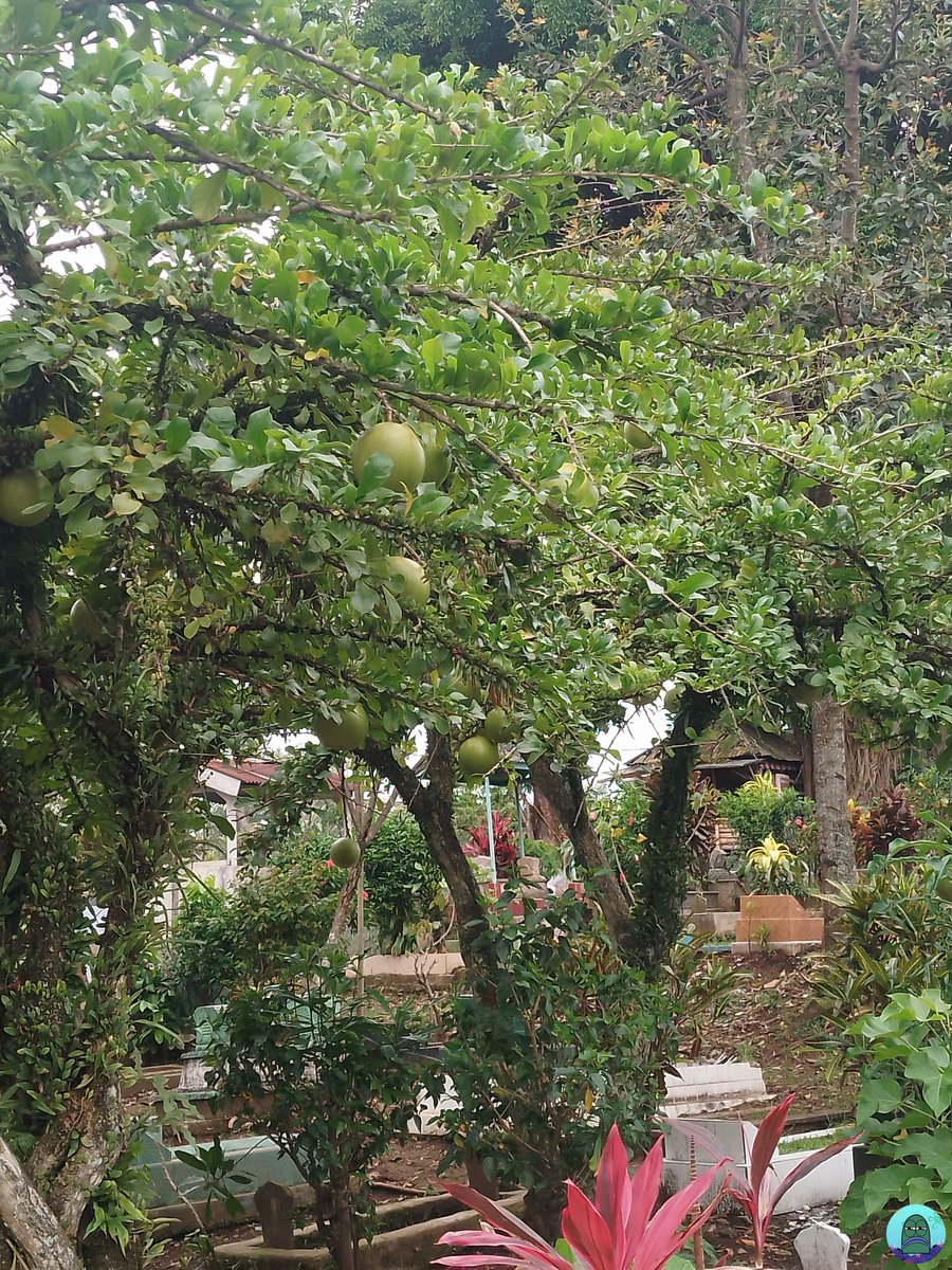 Tanyarl 💚 tweet media