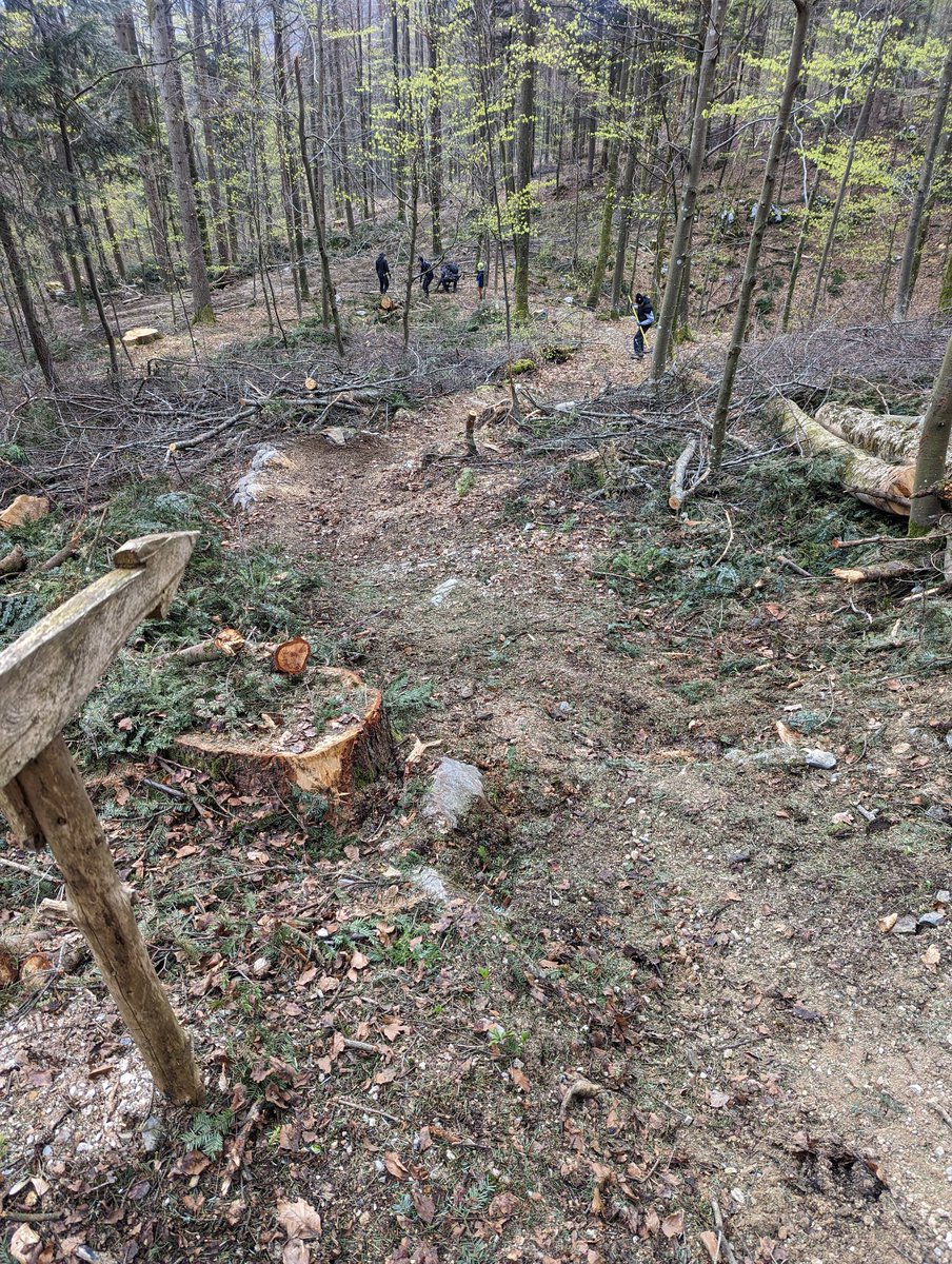 majh1982's tweet photo. Če se ti zdi, da bo praznični pondelk prehitro minil, se zakoplješ v delo in se bo vlekel za popizdit. 😁
#mtbjv #PankKura #888 #RRxDT #TrailBuilding #NoDigNoRide https://t.co/HHfWebwVPf