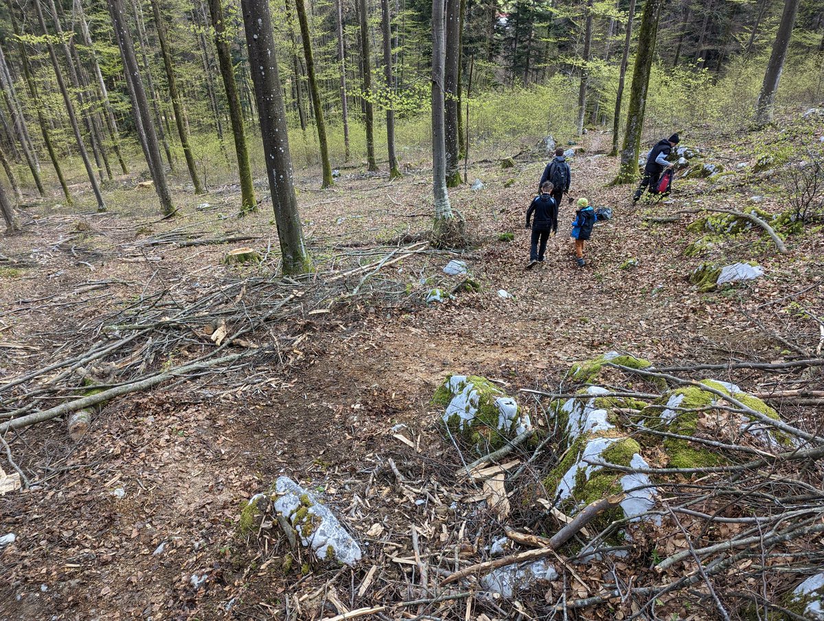 majh1982's tweet photo. Če se ti zdi, da bo praznični pondelk prehitro minil, se zakoplješ v delo in se bo vlekel za popizdit. 😁
#mtbjv #PankKura #888 #RRxDT #TrailBuilding #NoDigNoRide https://t.co/HHfWebwVPf