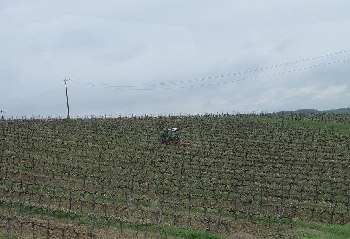 PascalNerbesson's tweet photo. L'avantage des #vacancesscolaires, à chacun son tracteur avec mon drôle, et pas besoin de regarder les heures, ça dépote ✌️
#Paques #Agripapa #FrAgTw https://t.co/t96qHJSCqN