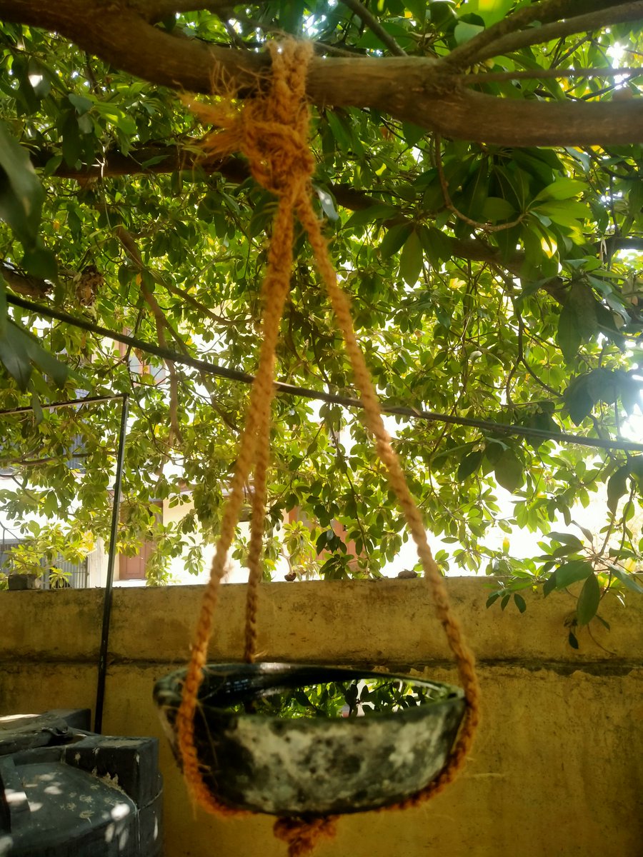 MethreSubhash's tweet photo. ಕಲಬುರಗಿ‌ ನಗರದಲ್ಲಿ ರಣಬಿಸಿಲು ಪ್ರಾರಂಭವಾದ ಹಿನ್ನೆಲೆ  ನಾಲ್ಕುಚಕ್ರ ತಂಡದಿಂದ ಪಕ್ಷಿಗಳಿಗೆ ನೀರಿನ ದಾಹ ಕಡಿಮೆ‌ ಮಾಡಲು ಗಿಡ ಮರಗಳಿಗೆ ಮಡಿಕೆಗಳಲ್ಲಿ ನೀರು ಹಾಕಿ ತೂಗು ಹಾಕಲಾಯಿತು ಮತ್ತು ಅಲ್ಲಿರುವ ಜನಗಳಿಗೆ ದಿನನಿತ್ಯವೂ ನೀರು ಹಾಕಲು ಮನವಿ ಜೊತೆಗೆ ಜಾಗೃತಿ ಮೂಡಿಸಲಾಯಿತು... #TeamNalkuChakra https://t.co/y9yMiNpKP6