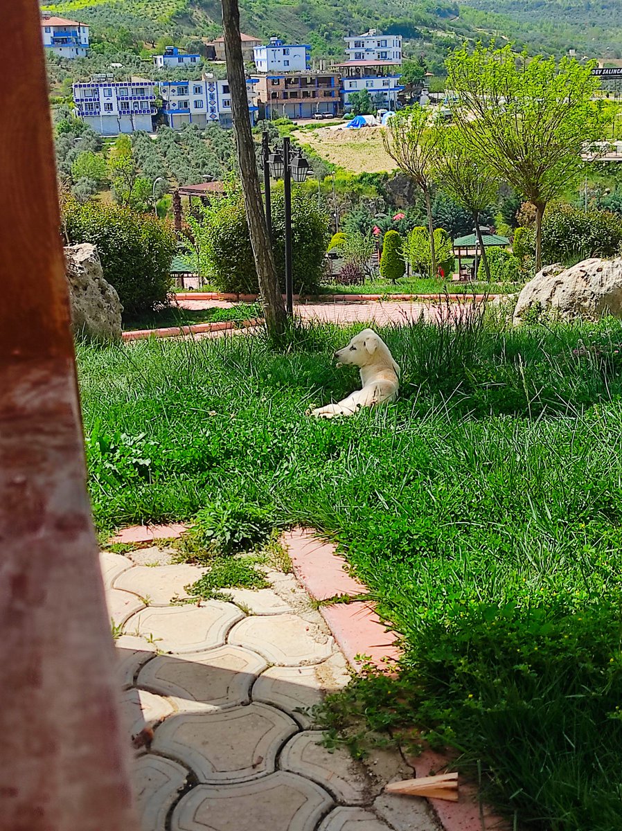 ...Her güne yeni umutlarla açılan gözler...