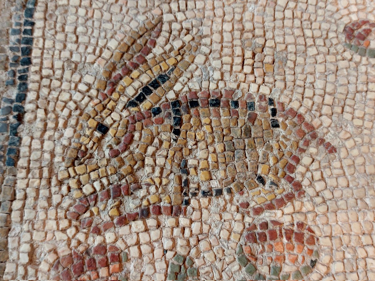 For #MosaicMonday and #Easter Monday a lovely image of a #rabbit, a detail from a mosaic showing Orpheus surrounded by enchanted #animals.
Found in Antioch, modern-day Antakya, #Turkey. Dating 4th c. AD.

On display at Museum Kestner Hannover.