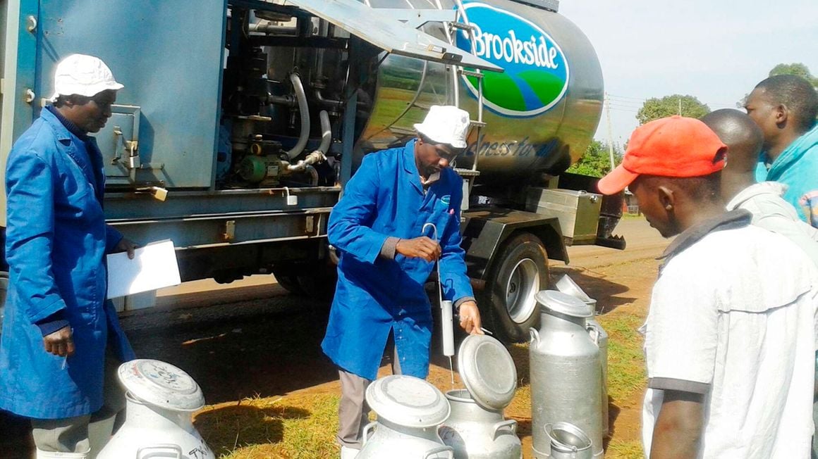 Brookside ventures into plant-based milk
bit.ly/3MrrKML